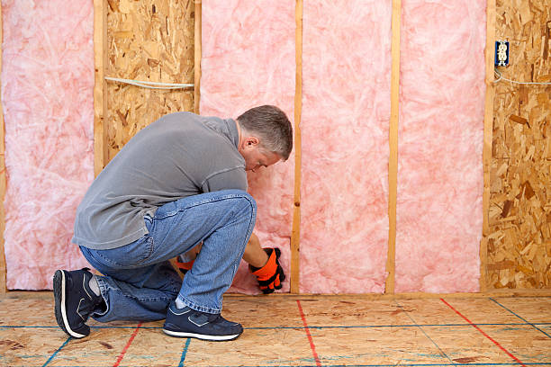 Best Eco-Friendly or Green Insulation Solutions  in Stinnett, TX